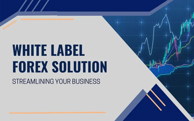 Streamlining Your Business With A White Label Forex Solution - Kenkarlo.com
