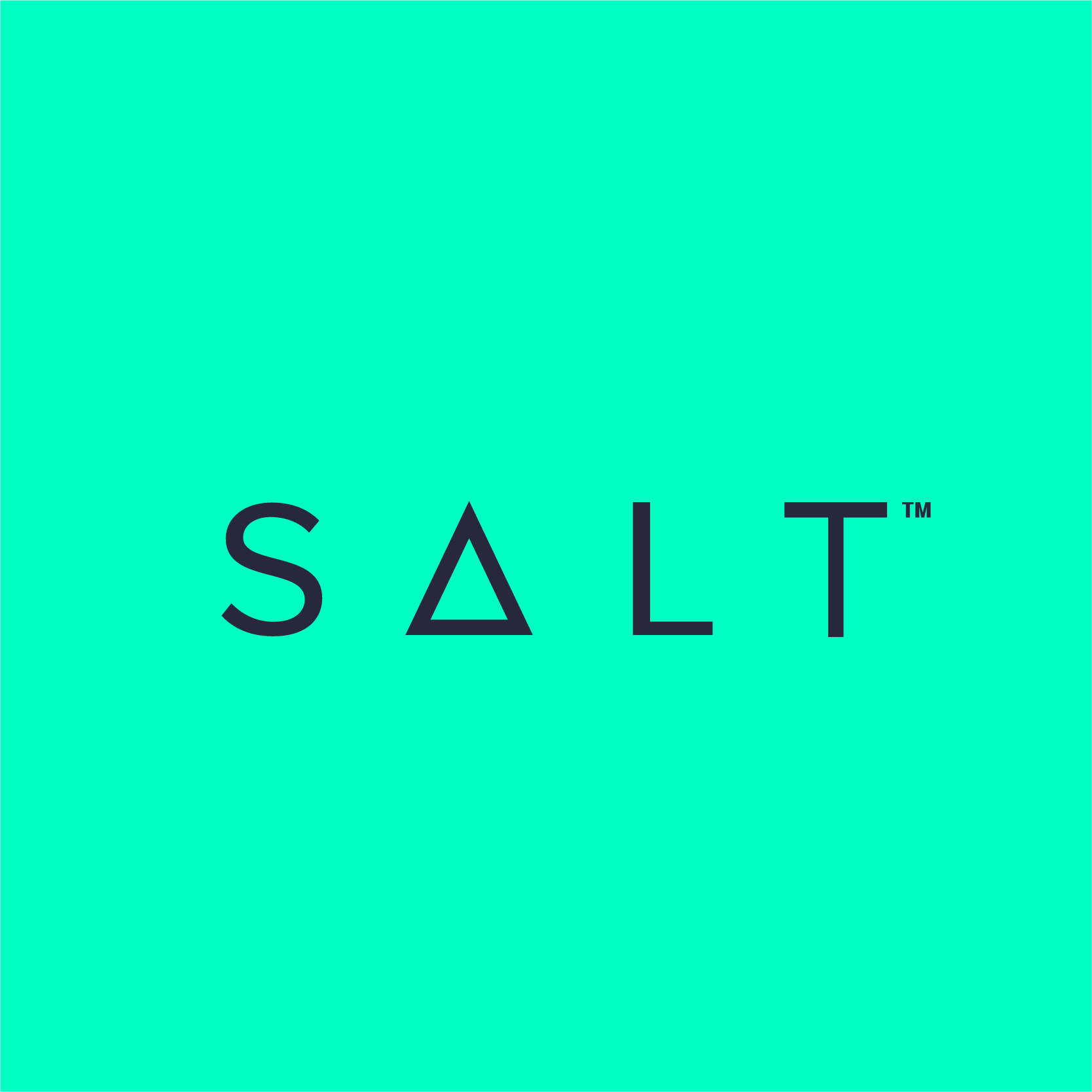 SALT Lending / Company Profile, Valuation & Funding